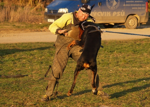 Training in Prague 3/2007